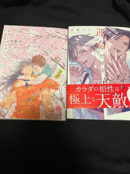 カラーコレクション　運命だけどあいいれない　初版本　2冊セット　入れ替え可