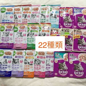 無添加やわらかパテあり成猫用総合栄養食セット/送料無料　70g×22種類/ミャウミャウ　ゼリー仕立て全種類+カルカン ウェットフード パウチ