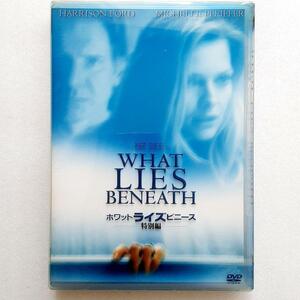 ホワット・ライズ・ビニース 特別編('00米)