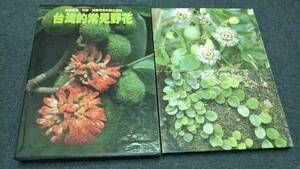 o501 台湾的常見野花 台湾自然大系１ 台灣的常見野花 鄭元春 渡假出版社 1980年 2Hb1