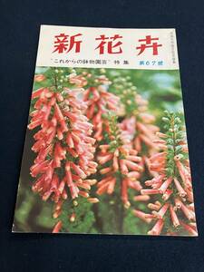 o303 新花卉 第67号 日本花卉園芸協会 タキイ種苗株式会社 出版部 1970年8月 これからの鉢物園芸 2Cd4
