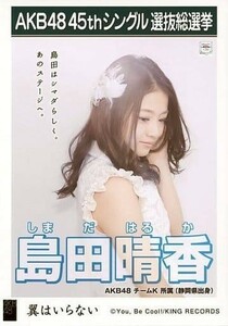 4942島田晴香/CD「翼はいらない」劇場盤特典生写真