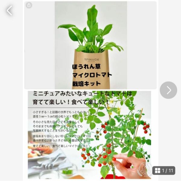 野菜　栽培　キット　ほうれん草　トマト　マイクロトマト　菜園