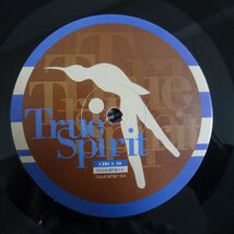 10013458;【UK盤】Carleen Anderson / True Spirit_画像3