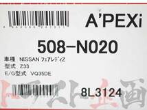 APEXi アペックス エアクリ フェアレディ Z Z33 VQ35DE パワーインテーク 508-N020 トラスト企画 ニッサン (126121116_画像8