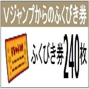 ドラクエ１０ Vジャンプ ふくびき券 240枚セット アイテムコード ドラクエＸ 天星の英雄たち いばらの巫女と滅びの神 ドラゴンクエスト