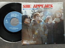 A4779 【EP】 ドメニコドモランテ／SHE APPEARS／DECKREC DCRC0010　_画像1