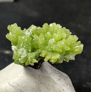 緑鉛鉱 （ パイロモルファイト pyromorphite ) ① 産地 中国 広西省 倒坪鉱山