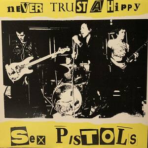 SEX PISTOLS never trust a hippy(LP)