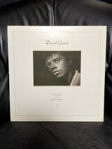 DAVID GRANT - HOPES AND DREAMS【LP】1985' Uk Original_画像1