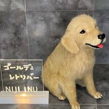 【ＮＩＪＩ　ＩＮＵ】★ゴールデンレトリーバー　仔犬★　羊毛フェルト ハンドメイド オリジナル　犬　フェルトドック　送料無料♪_画像7