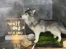 【ＮＩＪＩ　ＩＮＵ】★オオカミ犬★　ウルフドック wolfdog 狼 オリジナル　羊毛フェルト 犬　ハンドメイド　おまけ付き☆　送料無料♪_画像4