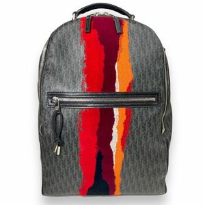 美品 Christian Dior トロッター バックパック リュックサック デイパック リュック PVCレザー クリスチャン ディオール 鞄
