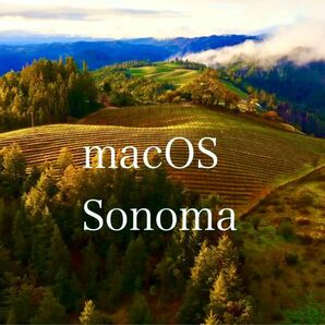 【高速】MacOS Sonoma & Monterey インストールUSB ( タイプA及びタイプC兼用)