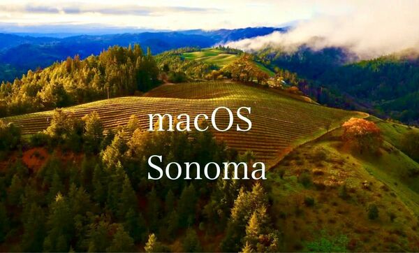 【高速】MacOS Sonoma & Monterey インストールUSB ( タイプA及びタイプC兼用)