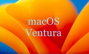 【高速】 Mac OS Ventura & Monterey インストールUSB