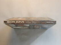 ♪　中古ＣＤ　ボン・ジョヴィ BON JOVI / ジーズ・デイズ These Days　国内盤・紙ジャケット版　♪ _画像5