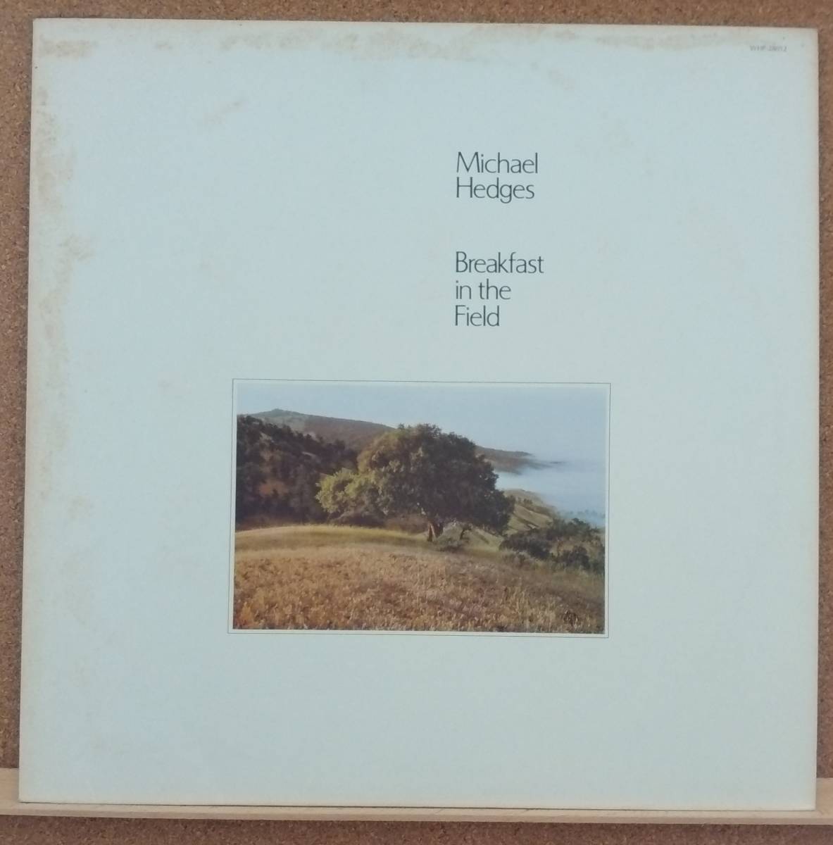 2023年最新】Yahoo!オークション -michael hedgesの中古品・新品・未