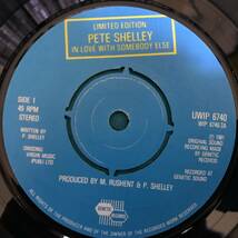 7”×2●Pete Shelley / I Don't Know What It Is UKオリジナル盤 UWIP 6740_画像4