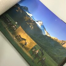 大型本『Horses』　ヤン・アルテュス＝ベルトラン Yann Arthus=Bertrand　洋書　作品集　馬の写真集　動物_画像6