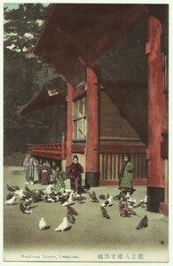 手彩色 湘南 鎌倉 鶴岡八幡宮 鳩の群れと子供
