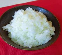 令和5年産 長野県 安心低農薬コシヒカリ(減農薬) 無洗米10Kg袋　新米　特別栽培米_画像3