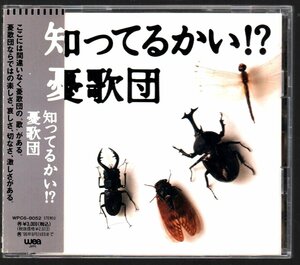 ■憂歌団■カバー・アルバム(CD)■知ってるかい！？■品番:WPC6-8052■1994/9/25発売■木村充揮/内田勘太郎/花岡献治/島田和夫■概ね美品■