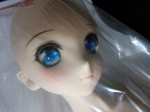 XA229△ボークス / VOLKS / ドルフィードリーム / Doll / 全高49cm / Dollfie Dream / 付属品つき / 人形 キャラクター / 未使用_画像3