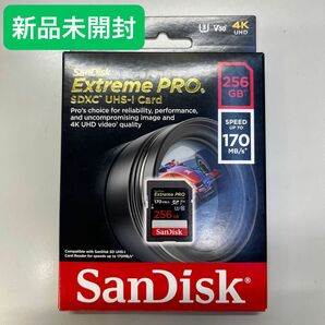 Extreme PRO SDSDXXY-256G-GN4IN （256GB）