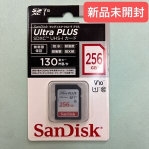 Ultra PLUS SDSDUW3-256G-JNJIN (256GB)