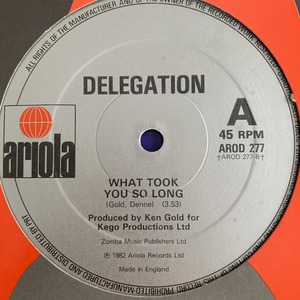 ◆ Delegation - Gonna Bring The House Down / What Took You So Long ◆12inch UK盤 EU DISCOヒット!!