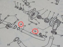 ☆希少！YAMAHA ヤマハ FZR250R 3LN 冷却水(クーラント)パイプ用 ジョイント～ウォーターポンプへ繋がるパイプのOリング 新品！☆_画像3