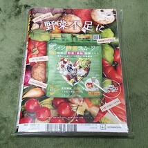 月刊ヤングマガジン★DVD ゆうちゃみ 沢口愛華 福田ルミカ 南みゆか 和泉芳怜グラビアアイドル水着ビキニグラドル_画像2