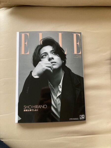 平野紫耀増刊 ELLE JAPON 特別版 2023年11月号