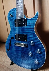 PRS SE Zach Myers ポールリードスミス ザックマイヤーズ