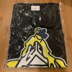 endrecheri endlicheri 堂本剛　tシャツ　③