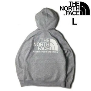 1円～!売切!【正規新品】THE NORTH FACE W THROWBACK HOODIE プルオーバー パーカー US限定 ビッグロゴ 厚手 上質(L)グレー181130-28