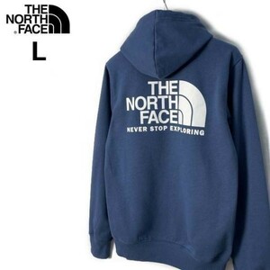 1円～!売切!【正規新品】THE NORTH FACE THROWBACK HOODIE プルオーバー パーカー US限定 バックプリント SHADYBLUE(L)青 紺 181130-33