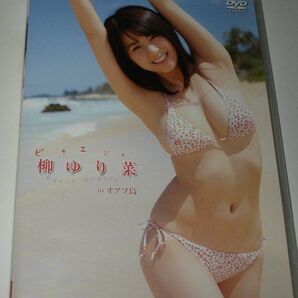 柳ゆり菜 DVD ビーチエンジェルズ in オアフ島