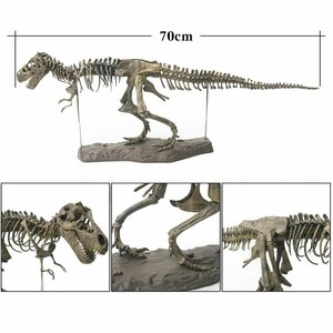 70cm ティラノサウルス レックス ジュラシック 大恐竜 化石 骨 モデルキット プラモデル キット 組み立て式cjx2465