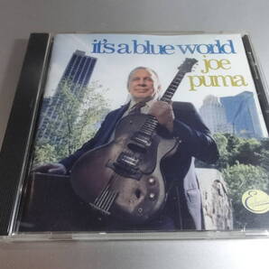 JOE PUMA ジョー・プーマ ITS A BLUE WORLD