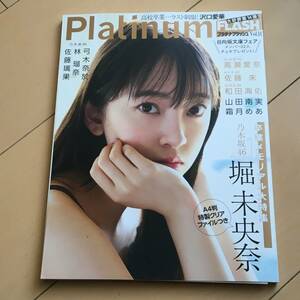 中古写真集　普小20321　Platinum　FLASH　Vol.14　A４版特製クリアファイル付き