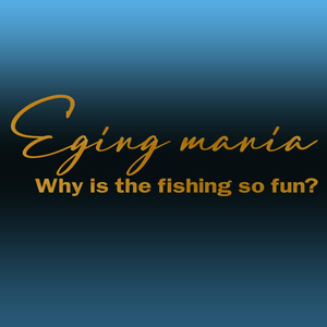 Sportsmindではなくて、エギングマニア　餌木　釣りステッカー Why is the fishing so fun?どうして釣りはこんなに楽しいのか？NO521E