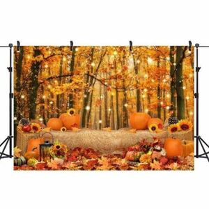 b-893 back paper background paper wallpaper wall paper Event party autumn o-tam scenery . leaf Halo we n family photograph photographing Studio 