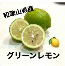 【和歌山県産】グリーンレモン　1kg（訳あり）_画像1