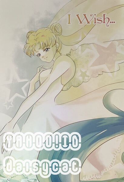 《レア!!》セーラームーン 同人誌《I Wish...(星野光×月野うさぎ) 》CARESS/由乃ちまり 星うさ 30p 2013年発行