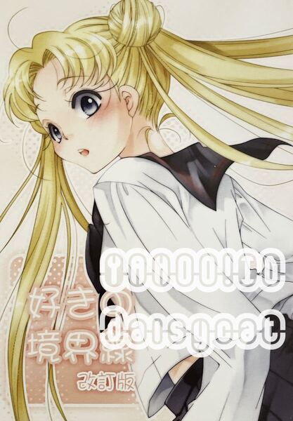 《レア!!》セーラームーン 同人誌《好きの境界線 改訂版(スリーライツ) 》灰色うさぎ/守也香 24p