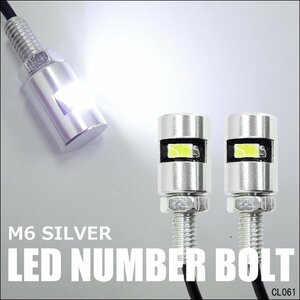 ナンバーボルト [銀] 2個組 LED内蔵 ナンバー灯 M6 アルミ ライセンスプレート 汎用 メール便送料無料/20ш