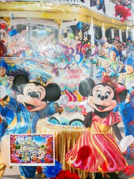 新品 未開封 ディズニーランド TDL 35周年 グランドフィナーレ Imagining the Magic 蜷川実花さん 実写 写真柄 バスタオル ミッキー ミニー