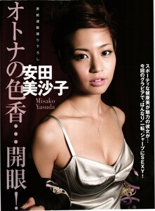 17904 安田美沙子 5P 切り抜き 3点でお得